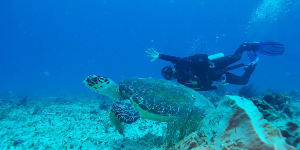 Yemaya Reefs, A Small Luxury Hotel Little Corn Island Eksteriør bilde